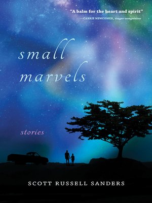 cover image of Small Marvels